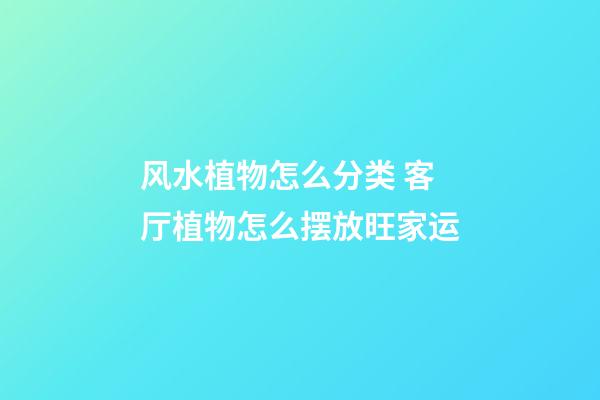 风水植物怎么分类 客厅植物怎么摆放旺家运